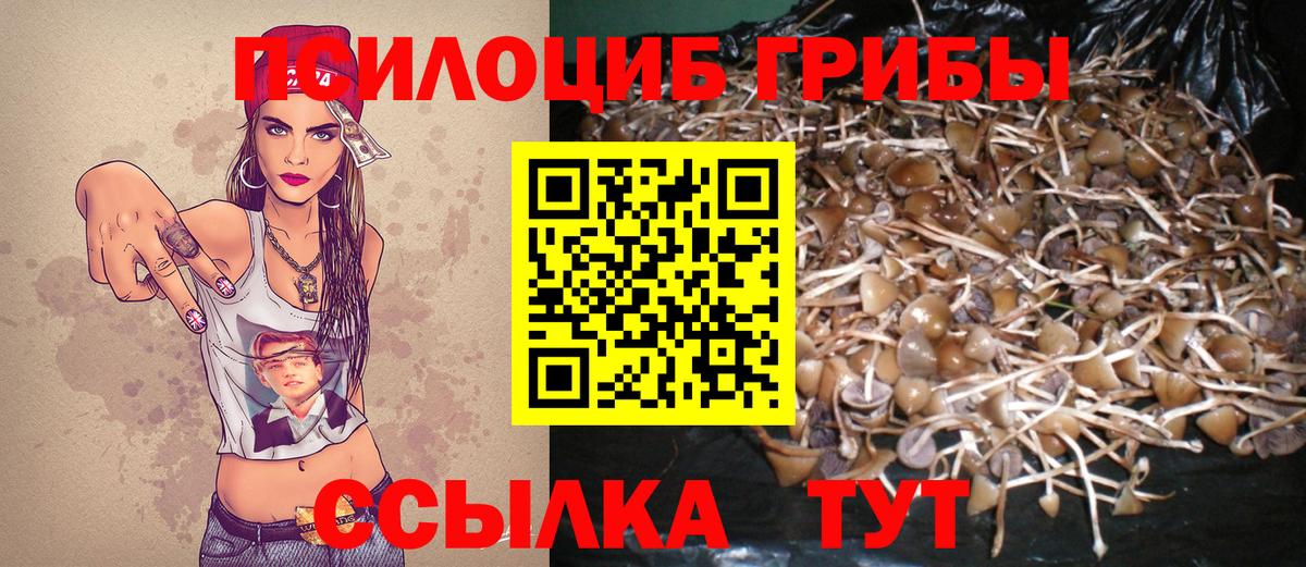 Галлюциногенные грибы Psilocybe  Псилоцибиновые грибы прущие грибы  Вход с VPN  Артёмовский 