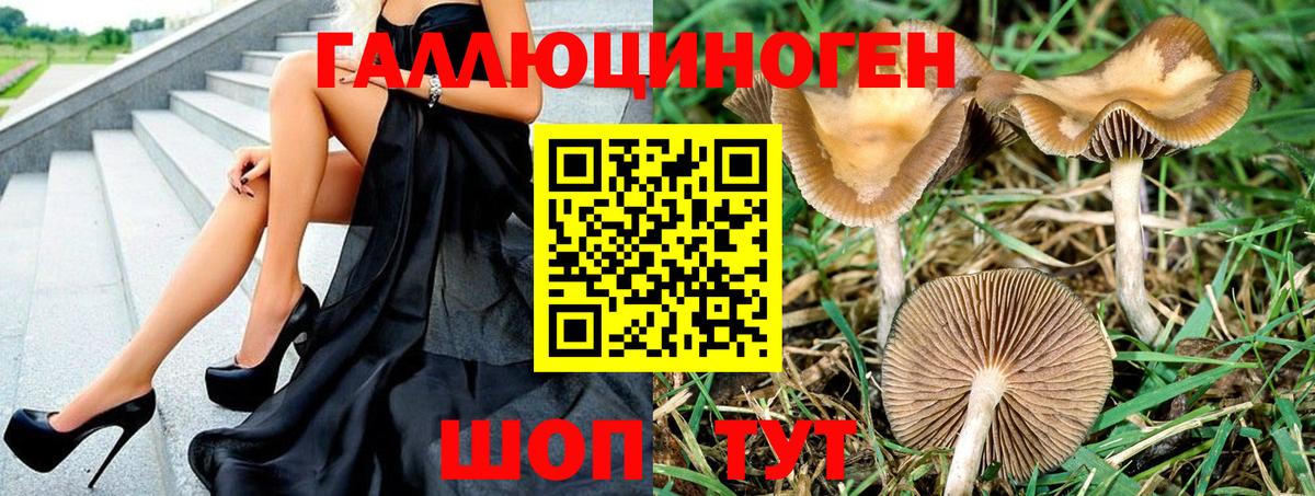 Галлюциногенные грибы мицелий Артёмовский